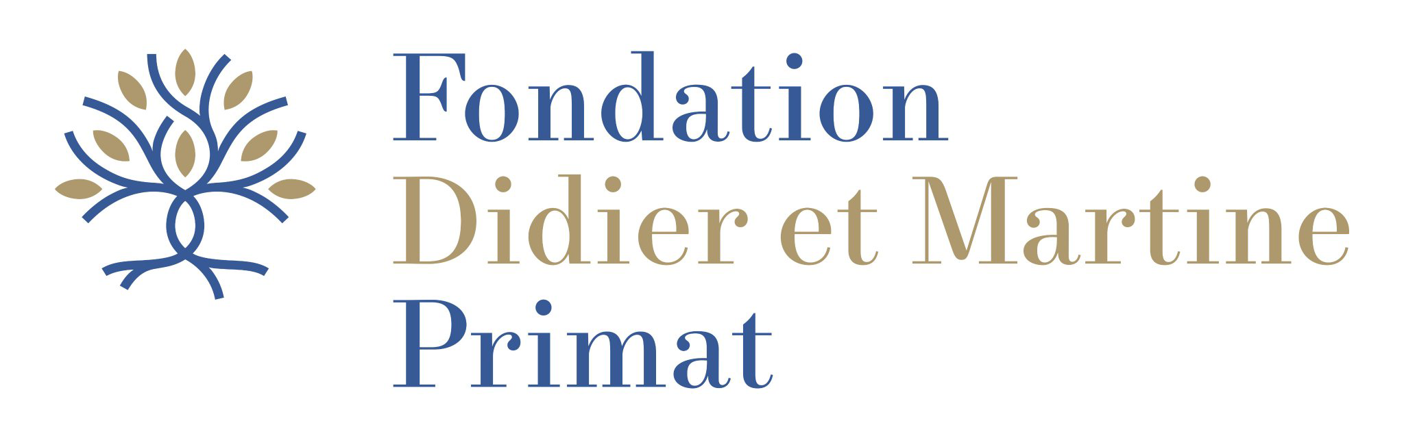 fondation